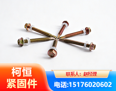 遵义六角钻尾丝
